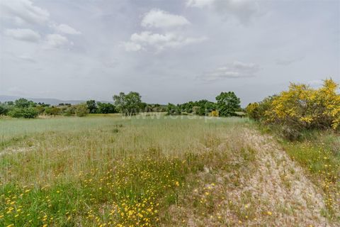Terra a Belmonte, Castelo Branco, Belmonte - € 42.500 | Ref: 111260096 - foto 8