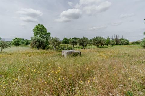 Terra a Belmonte, Castelo Branco, Belmonte - € 42.500 | Ref: 111260096 - foto 14