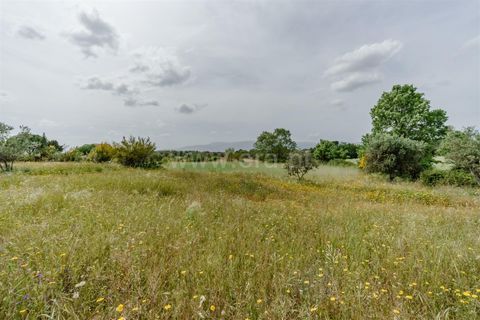 Terra a Belmonte, Castelo Branco, Belmonte - € 42.500 | Ref: 111260096 - foto 15