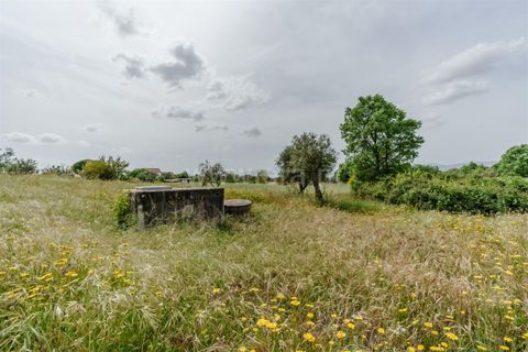 Terra a Belmonte, Castelo Branco, Belmonte - € 42.500 | Ref: 111260096 - foto 16
