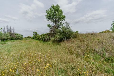 Terra a Belmonte, Castelo Branco, Belmonte - € 42.500 | Ref: 111260096 - foto 18