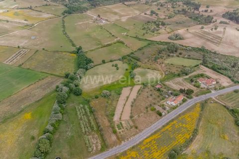 Terra a Belmonte, Castelo Branco, Belmonte - € 42.500 | Ref: 111260096 - foto 20
