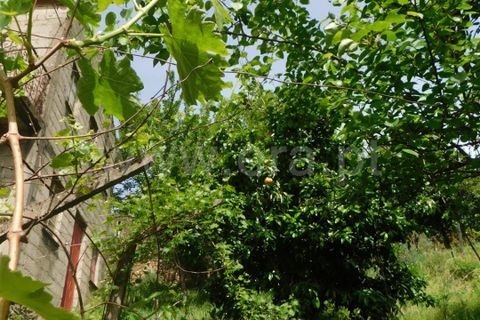 Villa i Seia, Guarda, Seia - € 162.000 | Ref: 382260039 - foto 24