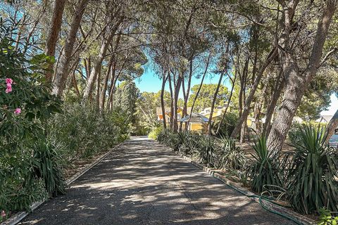 Villa i Yecla, Murcia, Yecla - € 699.000 | Ref: SB22003 - foto 20