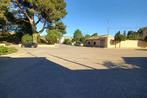 Landejendom i Pinoso, Alicante, Pinoso - € 249.995 | Ref: PT3136 - foto 3