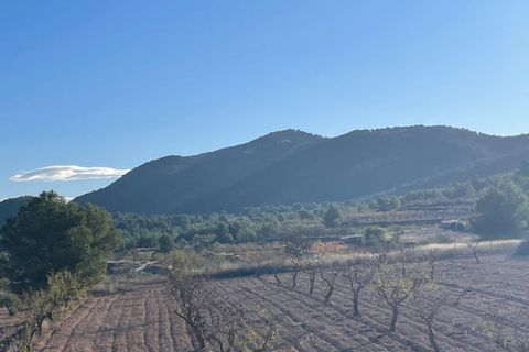 Villa i Pinoso, Alicante, Pinoso - € 649.995 | Ref: MP6553 - foto 45