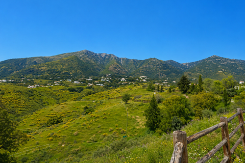 Villa i Mijas, Malaga, Mijas - € 2.750.000 | Ref: 428-05408P - foto 12