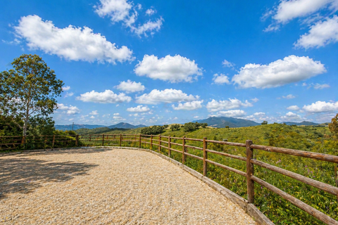 Villa i Mijas, Malaga, Mijas - € 2.750.000 | Ref: 428-05408P - foto 14