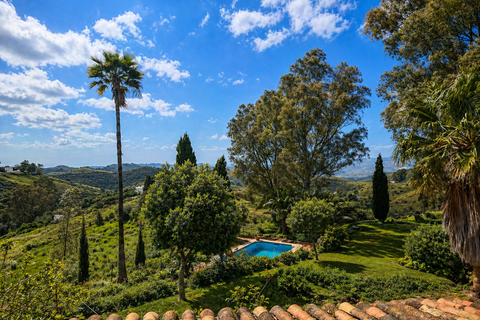 Villa i Mijas, Malaga, Mijas - € 2.750.000 | Ref: 428-05408P - foto 17