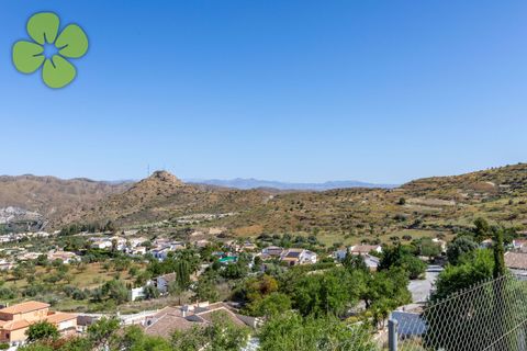 Villa in Albanchez, Almeria, Albanchez - € 260.000 | Ref: CRE-2700 - foto 23