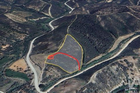 Byhus i Silves, Faro, Silves - € 75.000 | Ref: 869719 - foto 2