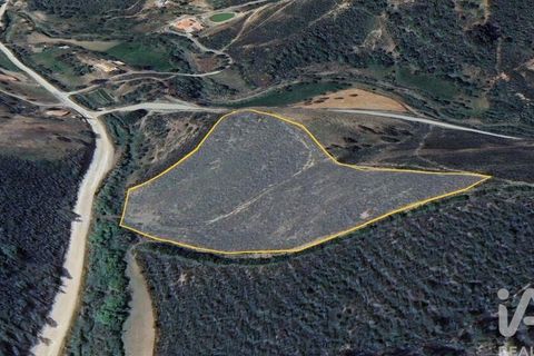 Byhus i Silves, Faro, Silves - € 75.000 | Ref: 869719 - foto 3