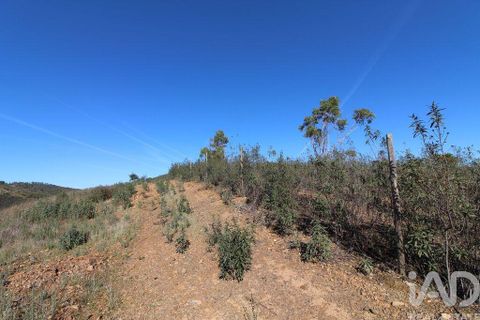 Byhus i Silves, Faro, Silves - € 75.000 | Ref: 869719 - foto 5