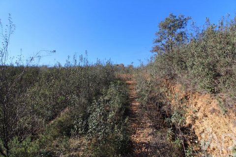 Byhus i Silves, Faro, Silves - € 75.000 | Ref: 869719 - foto 8
