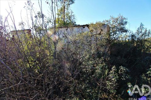 Byhus i Silves, Faro, Silves - € 75.000 | Ref: 869719 - foto 11