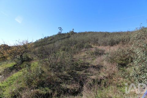 Byhus i Silves, Faro, Silves - € 75.000 | Ref: 869719 - foto 18