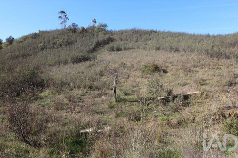 Byhus i Silves, Faro, Silves - € 75.000 | Ref: 869719 - foto 19