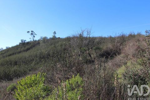 Byhus i Silves, Faro, Silves - € 75.000 | Ref: 869719 - foto 20