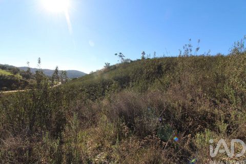 Byhus i Silves, Faro, Silves - € 75.000 | Ref: 869719 - foto 22