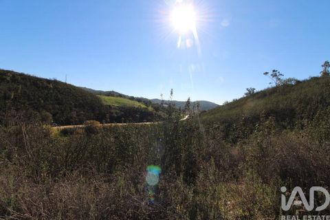 Byhus i Silves, Faro, Silves - € 75.000 | Ref: 869719 - foto 23