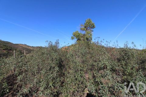 Byhus i Silves, Faro, Silves - € 75.000 | Ref: 869719 - foto 25