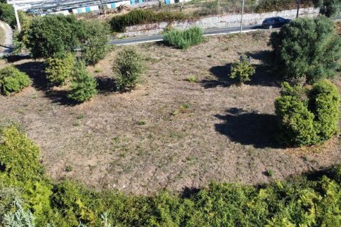 Terra a Alcobaca, Leiria, Alcobaca - € 88.900 | Ref: F00257 - foto 3