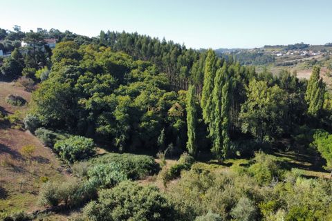 Terra a Alcobaca, Leiria, Alcobaca - € 88.900 | Ref: F00257 - foto 6