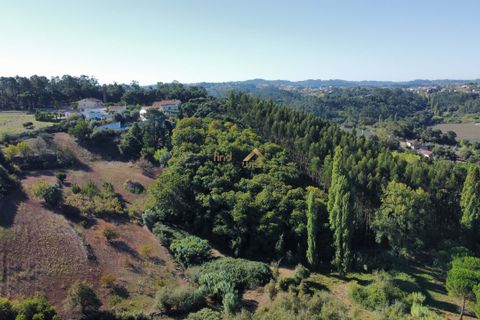Terra a Alcobaca, Leiria, Alcobaca - € 88.900 | Ref: F00257 - foto 9
