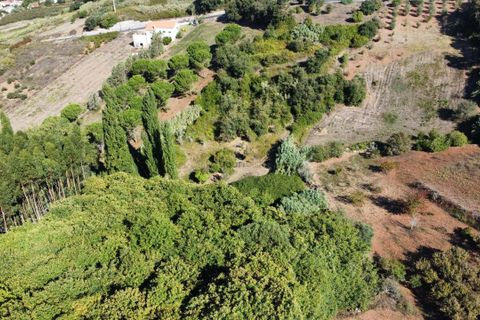 Terra a Alcobaca, Leiria, Alcobaca - € 88.900 | Ref: F00257 - foto 10