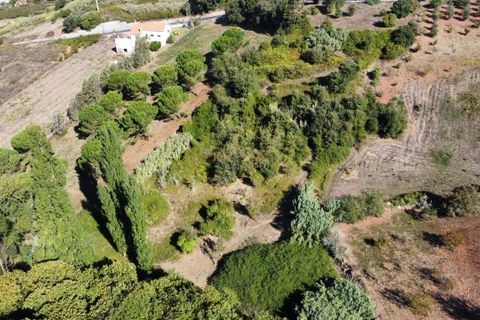 Terra a Alcobaca, Leiria, Alcobaca - € 88.900 | Ref: F00257 - foto 11