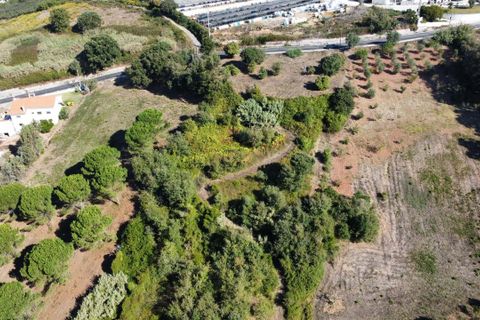 Terra a Alcobaca, Leiria, Alcobaca - € 88.900 | Ref: F00257 - foto 13