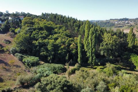 Terra a Alcobaca, Leiria, Alcobaca - € 88.900 | Ref: F00257 - foto 14