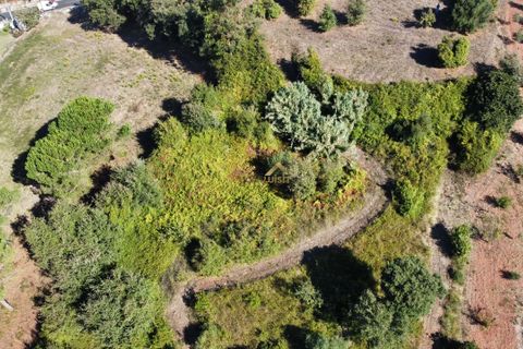 Terra a Alcobaca, Leiria, Alcobaca - € 88.900 | Ref: F00257 - foto 16