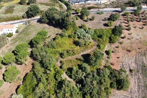 Terra a Alcobaca, Leiria, Alcobaca - € 88.900 | Ref: F00257 - foto 19