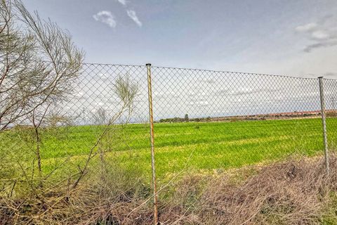 Terra a Madrid, Madrid, Madrid - € 2.200.000 | Ref: 869729 - foto 18