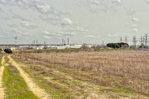 Terra a Madrid, Madrid, Madrid - € 2.200.000 | Ref: 869729 - foto 37