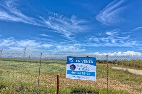Terra a Madrid, Madrid, Madrid - € 2.200.000 | Ref: 869729 - foto 2