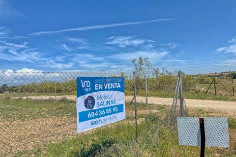 Terra a Madrid, Madrid, Madrid - € 2.200.000 | Ref: 869729 - foto 29