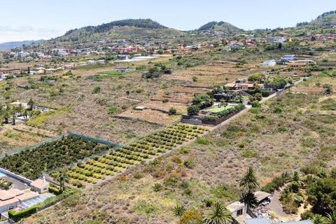 Villa a Tacoronte, Tenerife, Tacoronte - € 2.950.000 | Ref: 189545 - foto 10