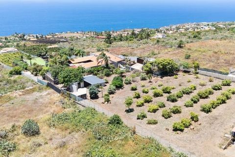 Villa a Tacoronte, Tenerife, Tacoronte - € 2.950.000 | Ref: 189545 - foto 16