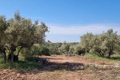 Finca i Els Reguers, Tarragona, Els Reguers - € 58.000 | Ref: Rej - foto 16