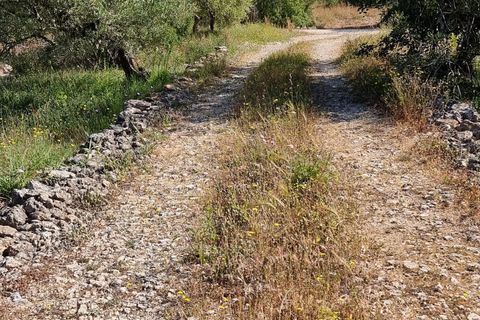 Finca i Els Reguers, Tarragona, Els Reguers - € 58.000 | Ref: Rej - foto 7