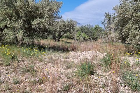 Finca i Els Reguers, Tarragona, Els Reguers - € 58.000 | Ref: Rej - foto 18