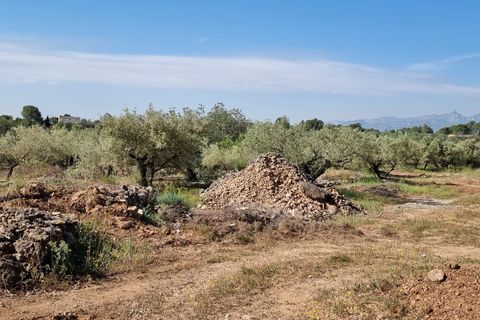 Finca i Els Reguers, Tarragona, Els Reguers - € 58.000 | Ref: Rej - foto 5