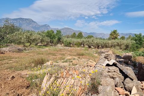 Finca i Els Reguers, Tarragona, Els Reguers - € 58.000 | Ref: Rej - foto 13