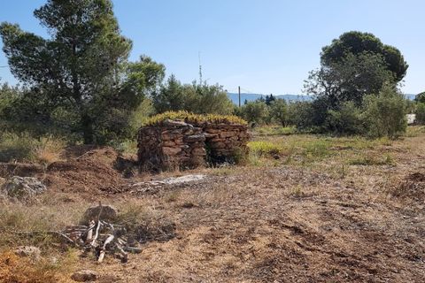 Finca i Els Reguers, Tarragona, Els Reguers - € 58.000 | Ref: Rej - foto 6