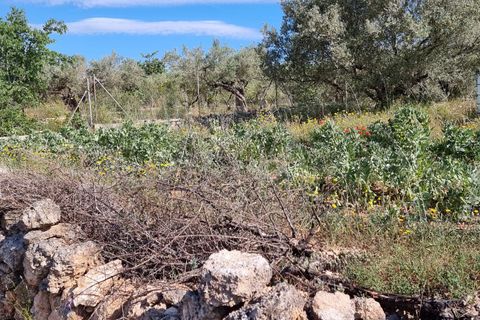 Finca i Els Reguers, Tarragona, Els Reguers - € 58.000 | Ref: Rej - foto 10