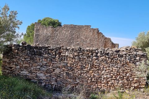 Finca i Els Reguers, Tarragona, Els Reguers - € 58.000 | Ref: Rej - foto 9