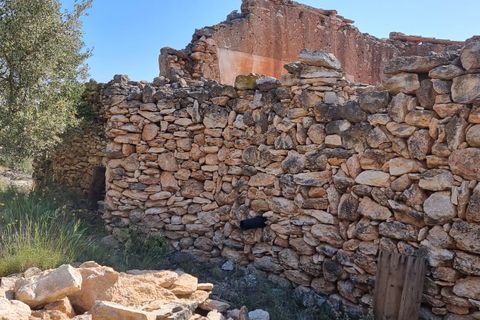 Finca i Els Reguers, Tarragona, Els Reguers - € 58.000 | Ref: Rej - foto 24