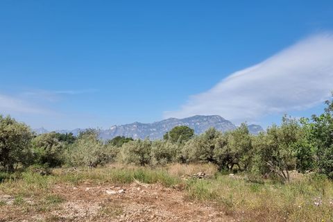 Finca i Els Reguers, Tarragona, Els Reguers - € 58.000 | Ref: Rej - foto 14